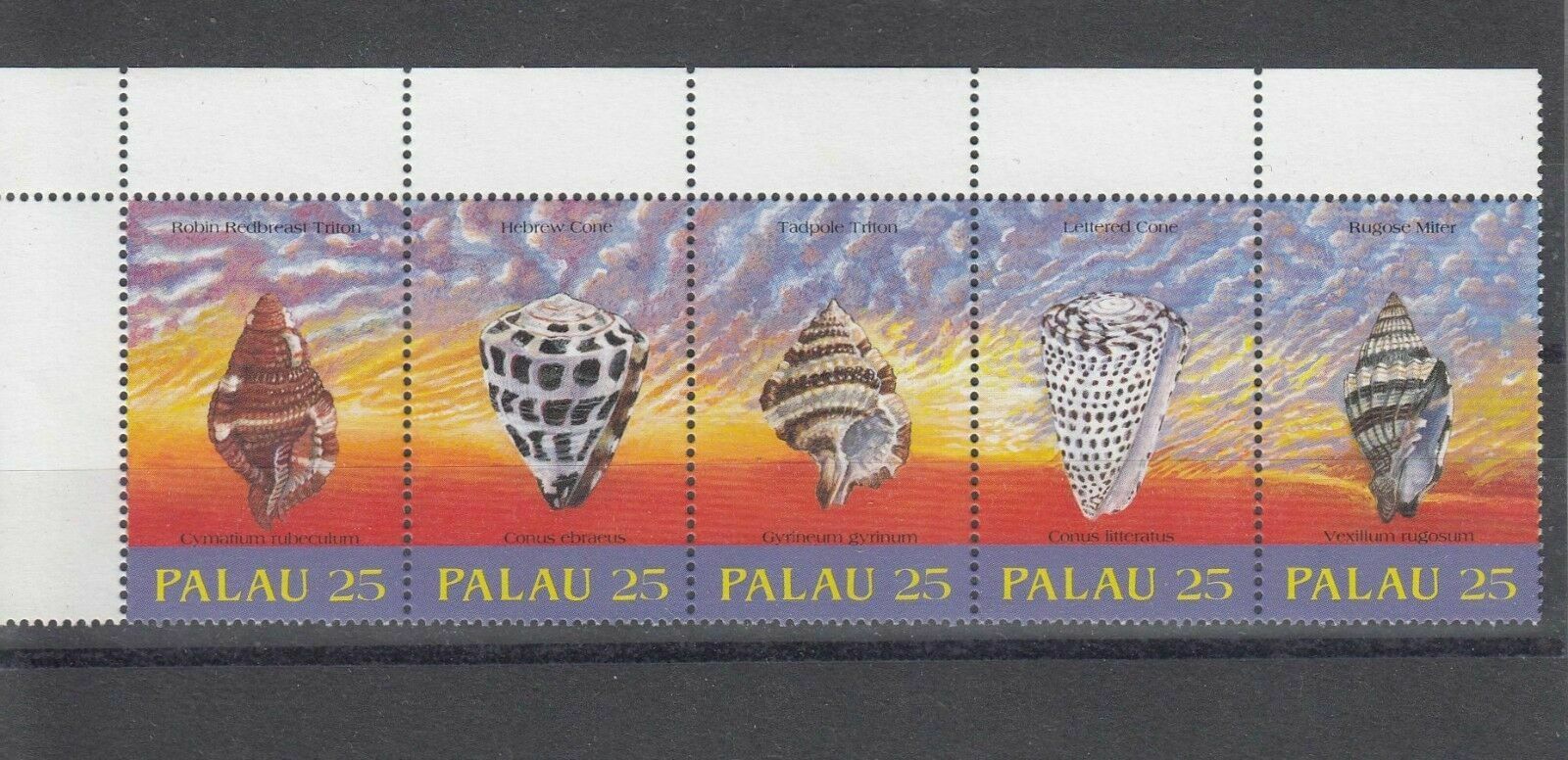 Palau - 1989 - Shells - Set Of Five - Mnh