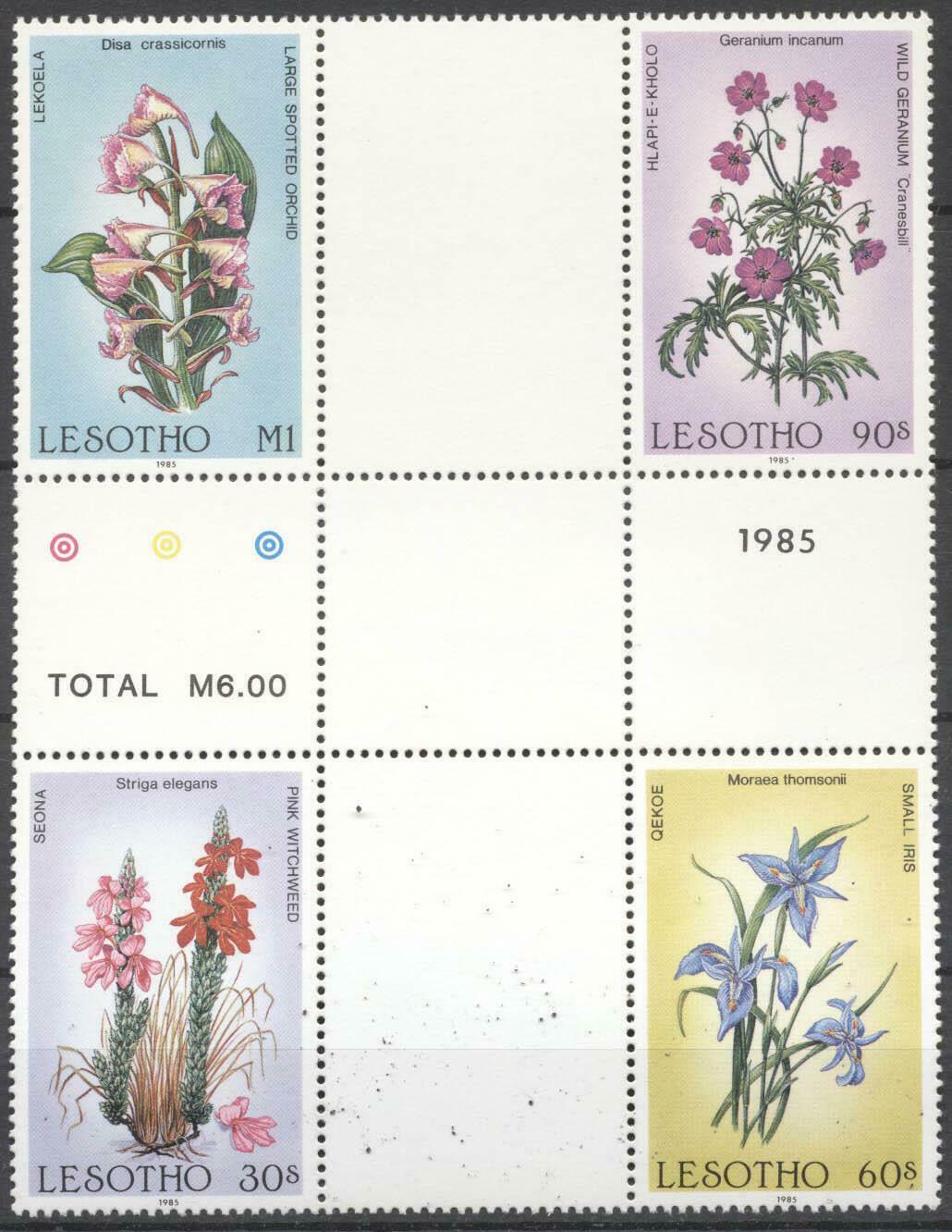 (148668) Flowers, Plants, Lesotho - Unique Crossgutter -