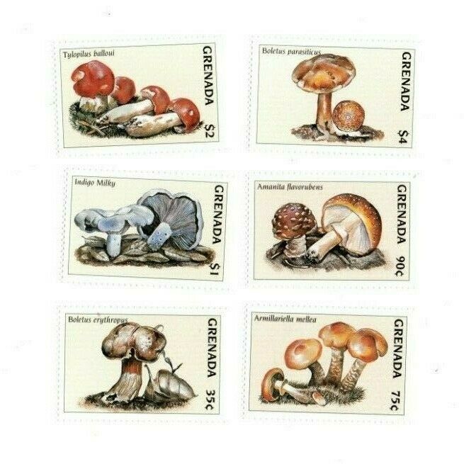 Grenada - 1997 - Mushrooms - Set Of 6 Stamps - Mnh