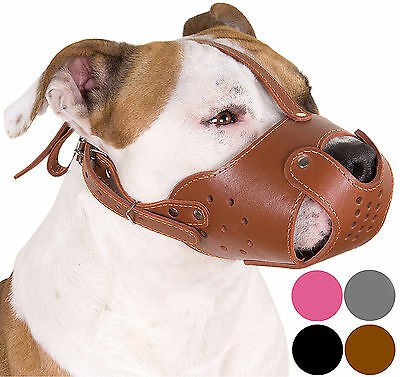 Leather Dog Muzzle Pitbull Pit Bull Amstaff Basket Staffordshire Terrier