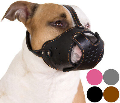 Secure Pitbull Dog Muzzle Staffordshire Terrier Amstaff Leather Basket