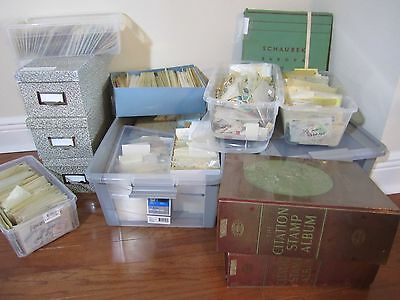 Collection ,better From Dealer Cards,albums,many Sets ,stock Books ,all Differ