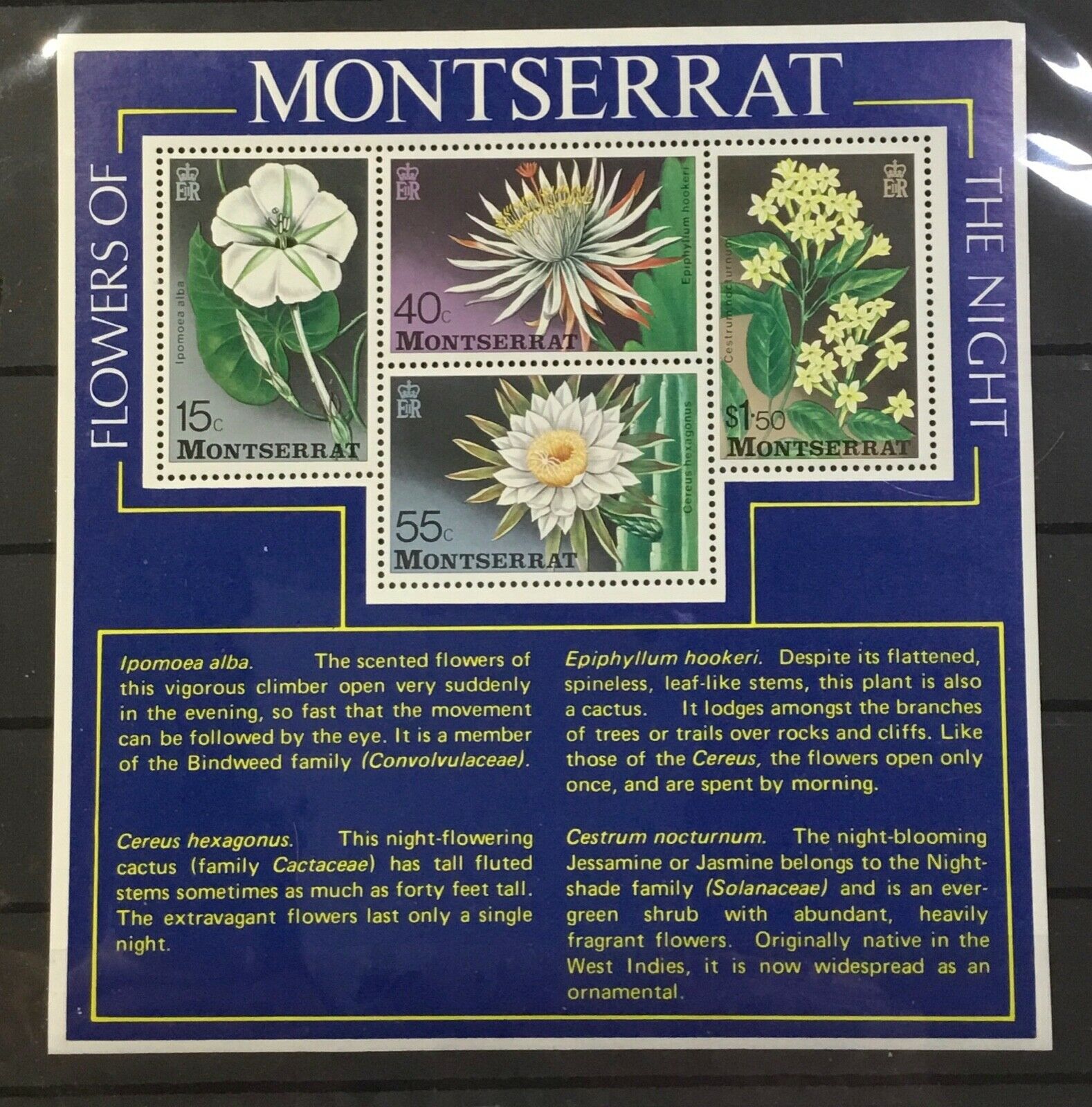 Montserrat #369a. Souvenir Sheet (5” X 5 1/8”) Flowers Of The Night.  Mnh