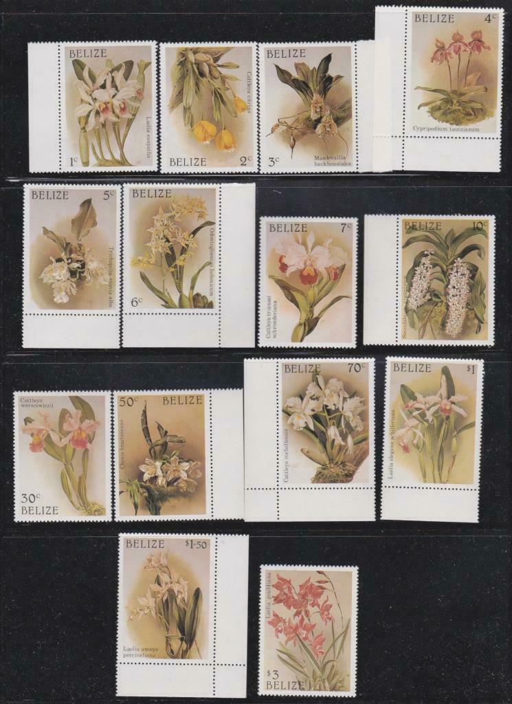 Belize 1987 Flower Stamps Orchids Mnh - Fl301