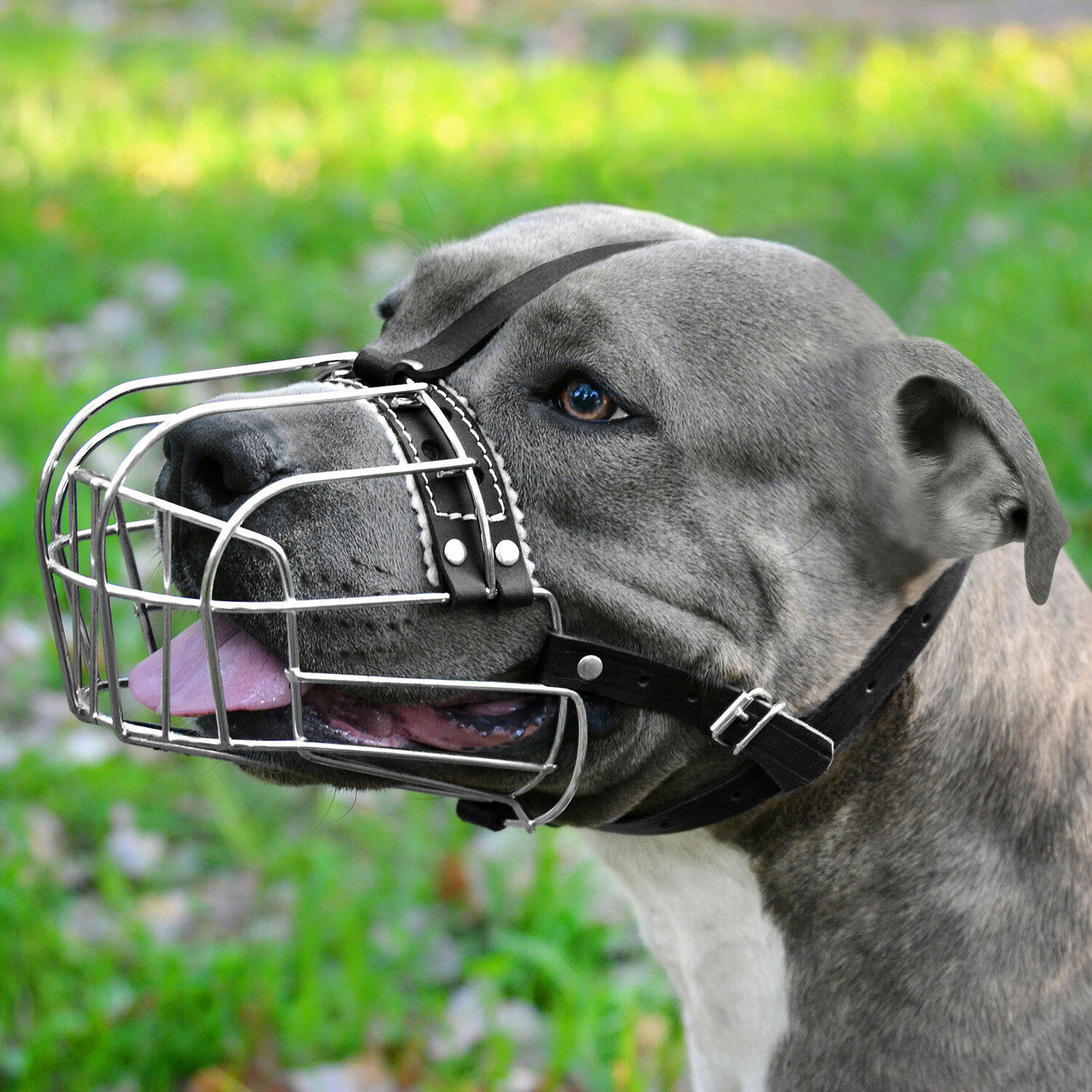 Dog Muzzle Pitbull Amstuff Pit Bull Adjustable Metal Wire Basket Leather Straps