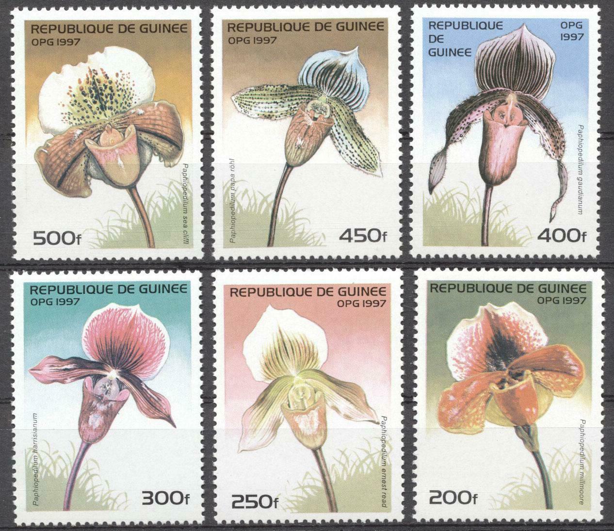 (178423) Orchids, Guinea
