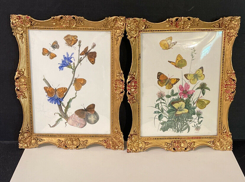 Vintage Framed Butterflies Art - Empire Art Style  818 Made In Italy 8x10 "