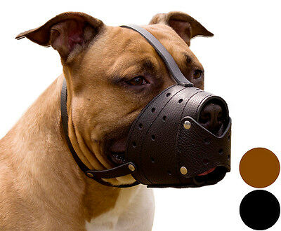 Pit Bull Pitbull Terrier Amstaff Secure Basket Dog Muzzle Genuine Leather